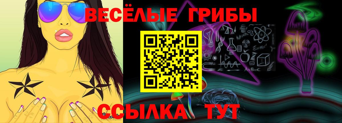 Галлюциногенные грибы ЛСД  Вход с VPN  Котовск 